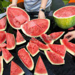 Sharing-cut-watermelons